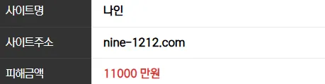 나인 1억1000만원 먹튀